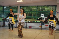 /album/f%c3%aate-de-saint-jean-2012-%c3%a0-ploudaniel/img-0677-jpg/