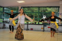 /album/f%c3%aate-de-saint-jean-2012-%c3%a0-ploudaniel/img-0678-jpg/