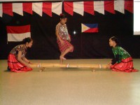 /album/repas-culturel-l%27asie-%c3%a0-patronage-la%c3%afque-guerin-de-brest/a1055-jpg/